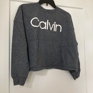 Women’s S Calvin Klein Cropped Gray Sweatshirt